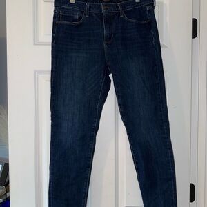 Banana Republic Blue Skinny Jeans with Classic Indigo Style